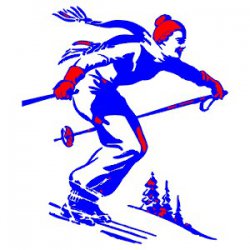 Тестирование ВФСК ГТО (лыжи)