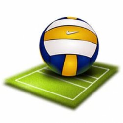 Первенство Брянского района по волейболу среди школьников