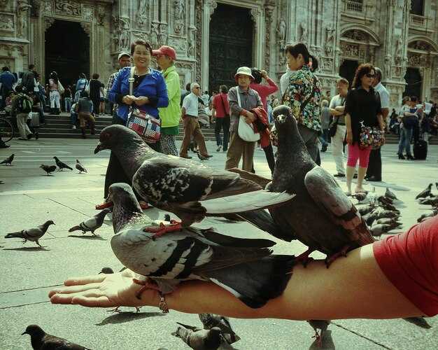 Ошибки новичков при взаимодействии с