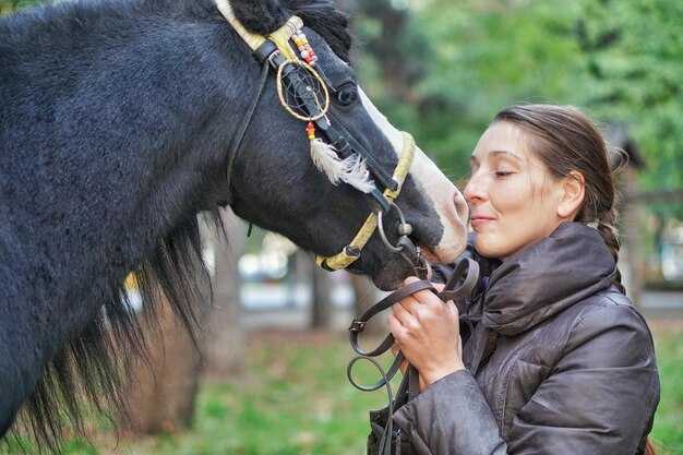 Роль подготовки жокеев и тренеров в безопасности