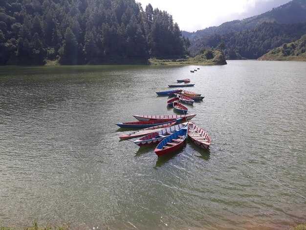 Правила хоккея: что нужно знать новичку