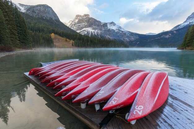 Известные команды НХЛ и их достижения