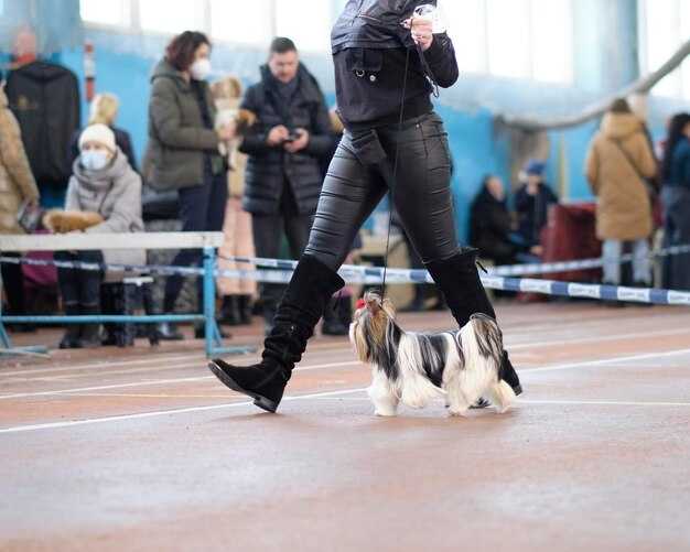 Поиск: Обучение на нахождение запаха